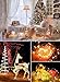 Minetom Color Changing Fairy String Lights - 33 ft 100 LED USB Silver Wire Lights with Remote and Timer, Starry Fairy Light for Bedroom Party Indoor Christmas Decoration, 16 Colors, Adapter Included
