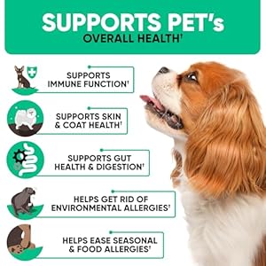   Natural-Dog-Allergy-Chews-with-Omega-Probiotics-Apple-Cider-Vinegar-Dog-Allergy-Relief-Supplement-Helps-with-Hot-Spots-Itchy-Skin-Seasonal-and-Food-Dog-Allergies-180-Allergy-Chews-for-Dogs