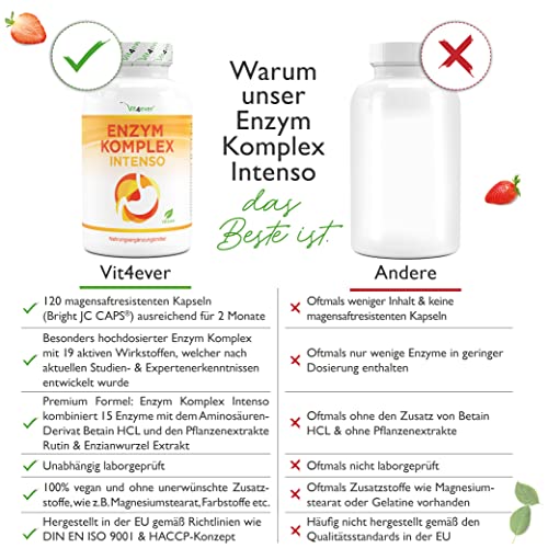 Verdauungsenzyme Vit4ever Enzym Komplex für optimale Verdauung