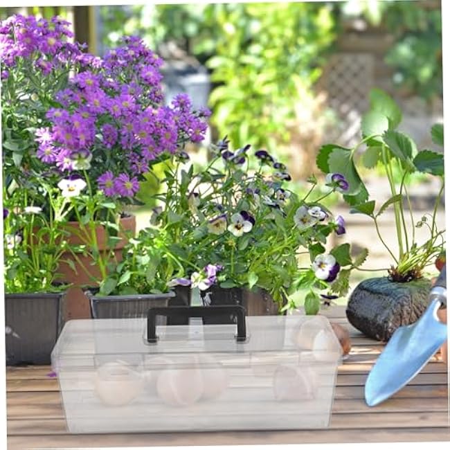 BESTYASH Plastic Packet Organizer Box Portable Gardening Storage Case Multiple Compartments for Home Outdoor Use Lightweight Design Transparent Plastic for Easy Viewing