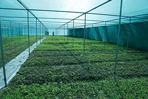 Image of Bio Blooms Gardening Shadenet 50% Shade 3 x 5 Meters Role Full Green, Thin and Uv Treated Long Life