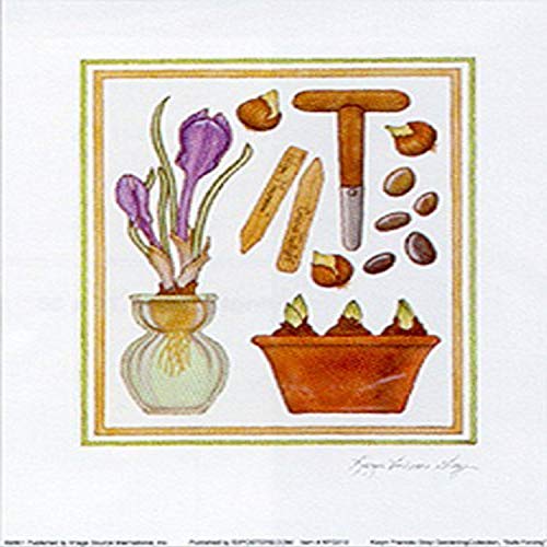 Bulb Forcing by Karyn Frances Gray 14 X 11 Art Print Poster