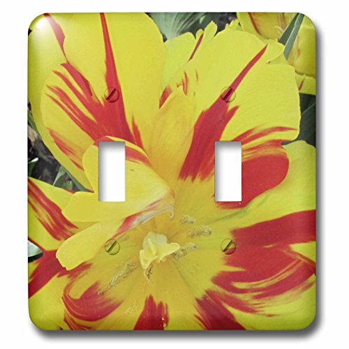 Interrupteur double tulipe jaune haut de gamme au design multicolore épuré