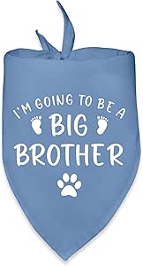 "Check Meowt I'm Going To Be A Big Brother" Baby Announcement Shirt - Sibling Reveal Tee