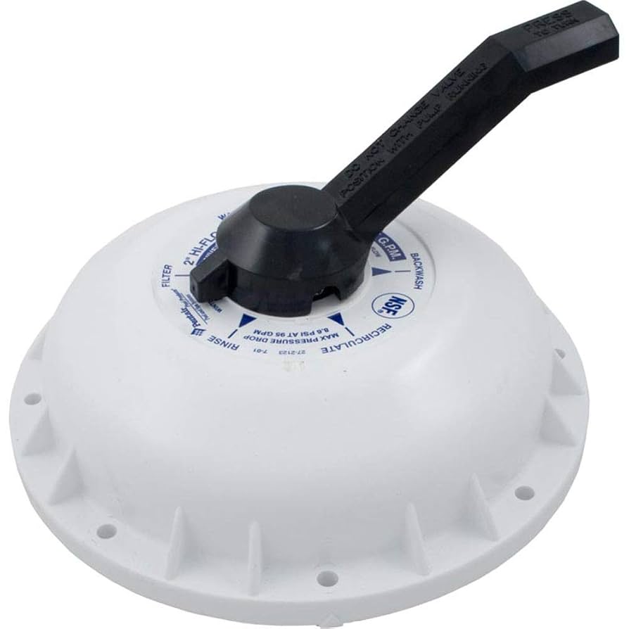 Amazon.com: Pentair 272422 Valve Top Assembly Replacement Hi