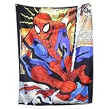 Decoración: perfecto como tapiz decorativo en casa, jardín de infantes, guarderías y oficina. Regalo ideal para niños, especialmente para niños y todos los fans de la película Marvel Hero.