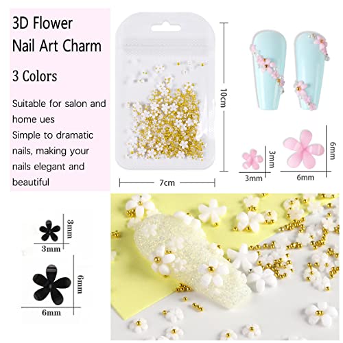 Addfavor 500Pcs 3D Flower Nail Charms Acrylic Resin Flower Gems Caviar Beads Nail Art Design Jewelry Accessories For Women Girls Diy Nails Decoration Supplies (Gold) #TOP1