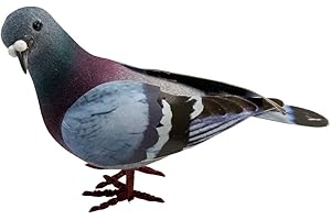 Artificial Pigeon Stuffy