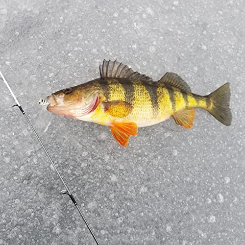 Bassdash Tungsten Ice Fishing Jigs With Glowing Paint Fishing Lures For Winter Ice Jigging Crappie Bluegill, 6-Pack #TOP5
