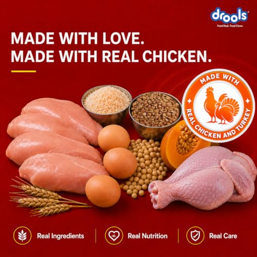 Image of Drools Adult Dry Dog Food 1kg | Turkey and Pumpkin Flavour | Supports Skin Nourishment and Coat Radiance | Promotes Healthy Digestion | Natural Antioxidants | Strengthen Immunity