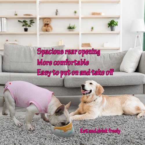 Image of Dog Recovery Suit Pink Female Spay Surgical Medium Shirt, Male Surgery Recovery Suit,Pink-White Striped M