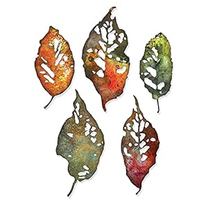 Sizzix Thinlits Die Set 5PK Bladfragmenten door Tim Holtz, 665559,Een maat,veelkleurig