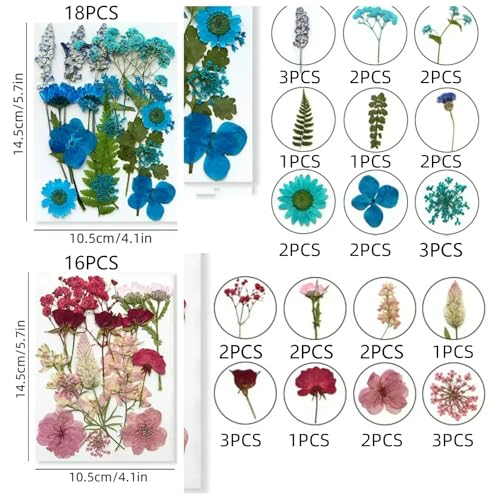 216 piezas Flores prensadas secas para manualidades miniatura 5