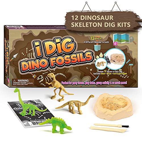 Byncceh Kit de excavación de fósiles de dinosaurios para niños, con 12 huesos prehistóricos y fósil de dinosaurio luminoso, juguete de dinosaurio para niños y niñas de 6 a 12 años, regalo de
