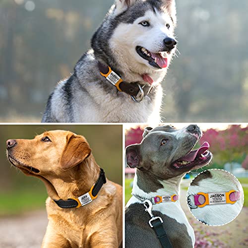 TagME 2er Pack Hundemarke/Hundemarke mit Gravur für Hunde für Kleine und Mittelgroße Hunderassen, Personalisierbar, Orange, XL