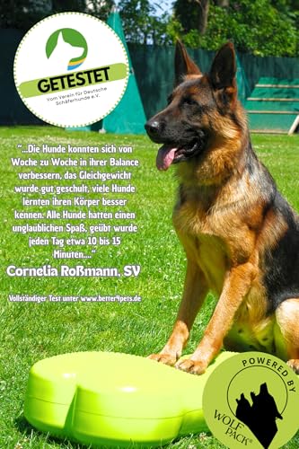 Better4Pets Powered by Wolfpack | Giant Fitness Dog Bone für Große Hunde Balance/Kraftstation/Trainingsgerät/Agility/XXL/hundespielzeug/zuhause/Trainingsgerät für Hunde (Standard)