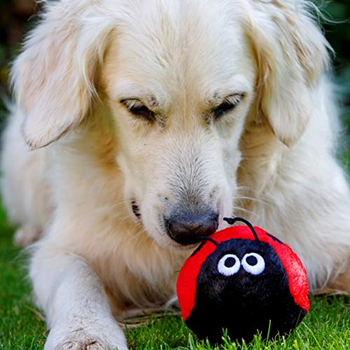 Petface Lindy The Ladybird Plüsch-Hundespielzeug