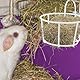 BESPORTBLE Kaninchen Heu Futterspender Metall Hängend Praktischer Heuraufe Für Kleintiere Wie Meerschweinchen Und Kaninchen Platzsparend Verhindert Abfall Und Hält Heu Trocken