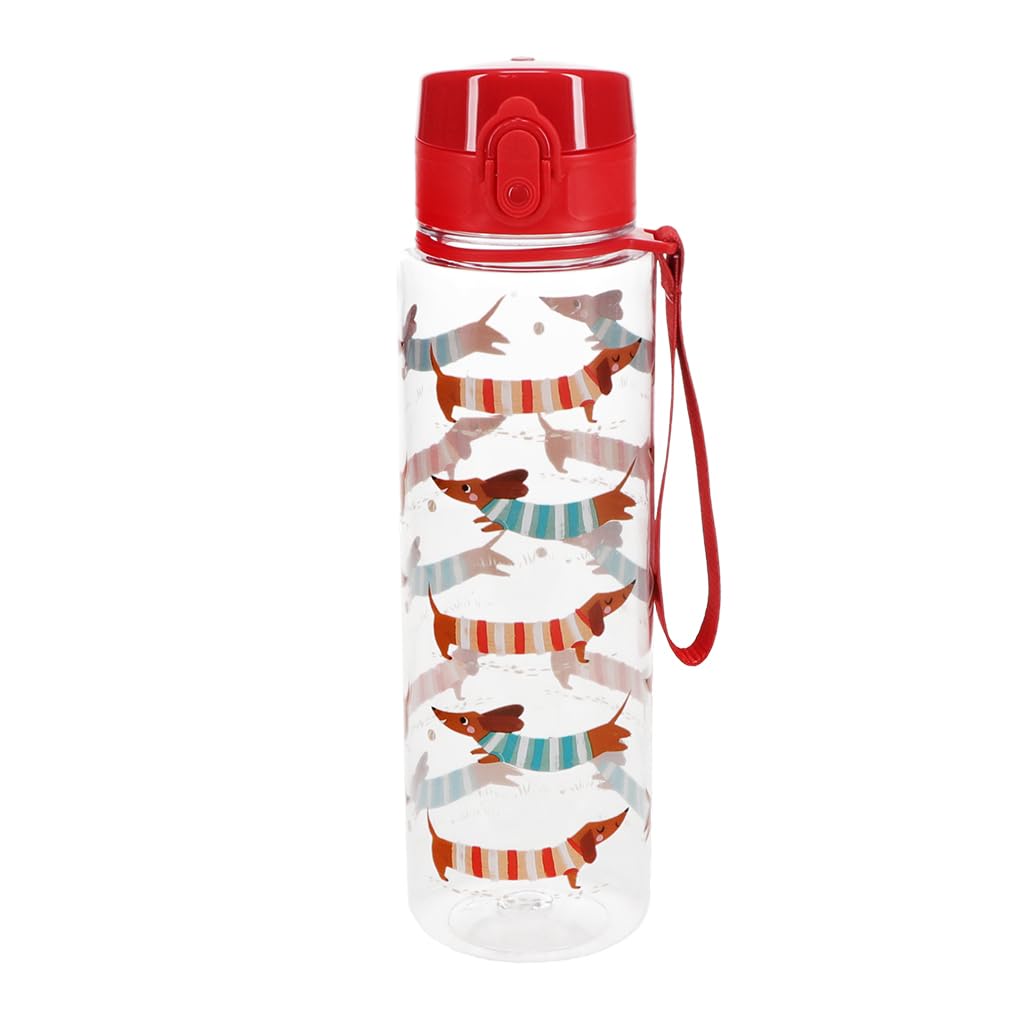 Rex London Drinks bottle with push button lid 700ml - Sausage Dog