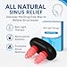 2026 Upgraded Red Light Nasal Therapy Device for Nose Congestion Relief, Portable Nasal Care Tool with Long Battery Life & Silicone Tips, Easy Home Use for Seasonal Comfort & Travel