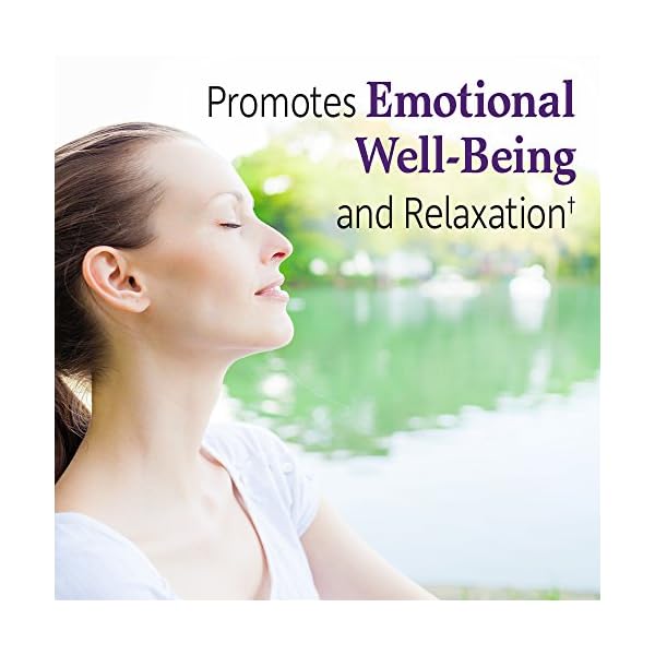 Garden of Life Dr. Formulated Probiotics Mood+ Acidophilus Probiotic Supplement - Promotes Emotional Well-Being, Relaxation and Digestive Balance - Ashwagandha for Stress Management, 60 Veggie Caps