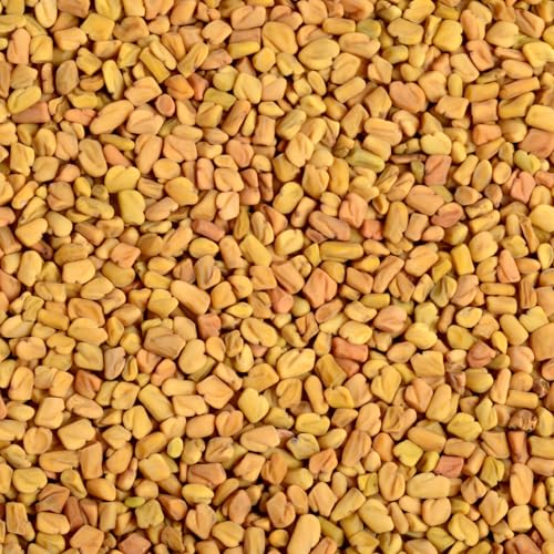 Image of Zoff Premium Fenugreek Seeds (Methi Dana) - 100% Natural & Unpolished - 500g Each | Pack of 6