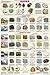 Introduction to Rocks Geology Educational Science Classroom Chart Print Poster 24x36