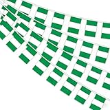 AhfuLife Nigeria Wimpelkette mit 30 Klein Stück Nigerianisch Flaggen, 2 Stück Beidseitig Rechteck Stoff Nigeria Wimpel Fahne für African Cup WM 2026 Fußballspiel Restaurant Bar Zaun Deko