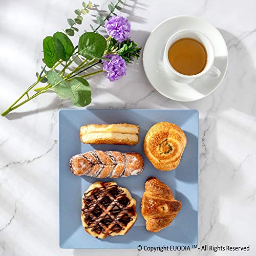 10 Inch Wheat Straw Square Plastic Flat Plates / Serving Platters / Trays - Microwave Dishwasher Safe – Reusable Unbreakable Lightweight Eco Friendly Bpa Free – Dinner / Tea Party / Camping (Set Of 6) #TOP4