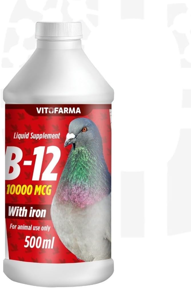 B 12 10,000 mcg with Iron for Pigeons – 500 ml | Liquid Vitamin Supplement for Birds | Nutritional Support Formula (for Animals)