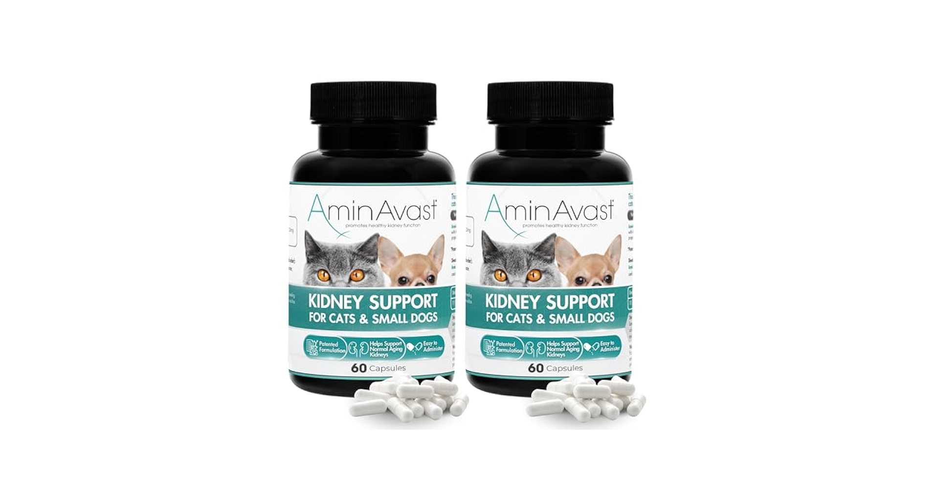 biohealth AminAvast 60カプセル 犬猫用 2本 Amazon.com : AminAvast Small Dogs & Cat Kidney Support