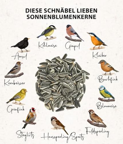 Dehner Natura Premium Wildvogelfutter, Sonnenblumenkerne, Ganzjahresfutter proteinreich / energiereich, hochwertiges Vogelfutter für Wildvögel, im Set, 4 x 2.5 kg (10 kg)