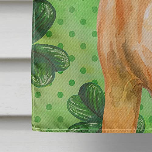Drapeau Rhodesian Ridgeback St Patrick Caroline's Treasures - 5