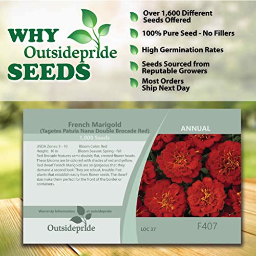 Outsidepride Tagetes Patula Red French Marigold Plant Garden Flowers For Pots, Containers, Window Boxes - 1000 Seeds #TOP4