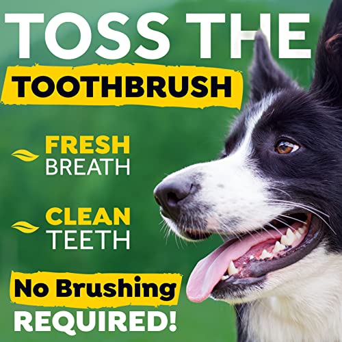Tropiclean Fresh Breath Oral Care Drops For Dogs, Breath Freshener For Dogs With Bad Breath, Made With Natural Ingredients, 2.2 Fl Oz #TOP1