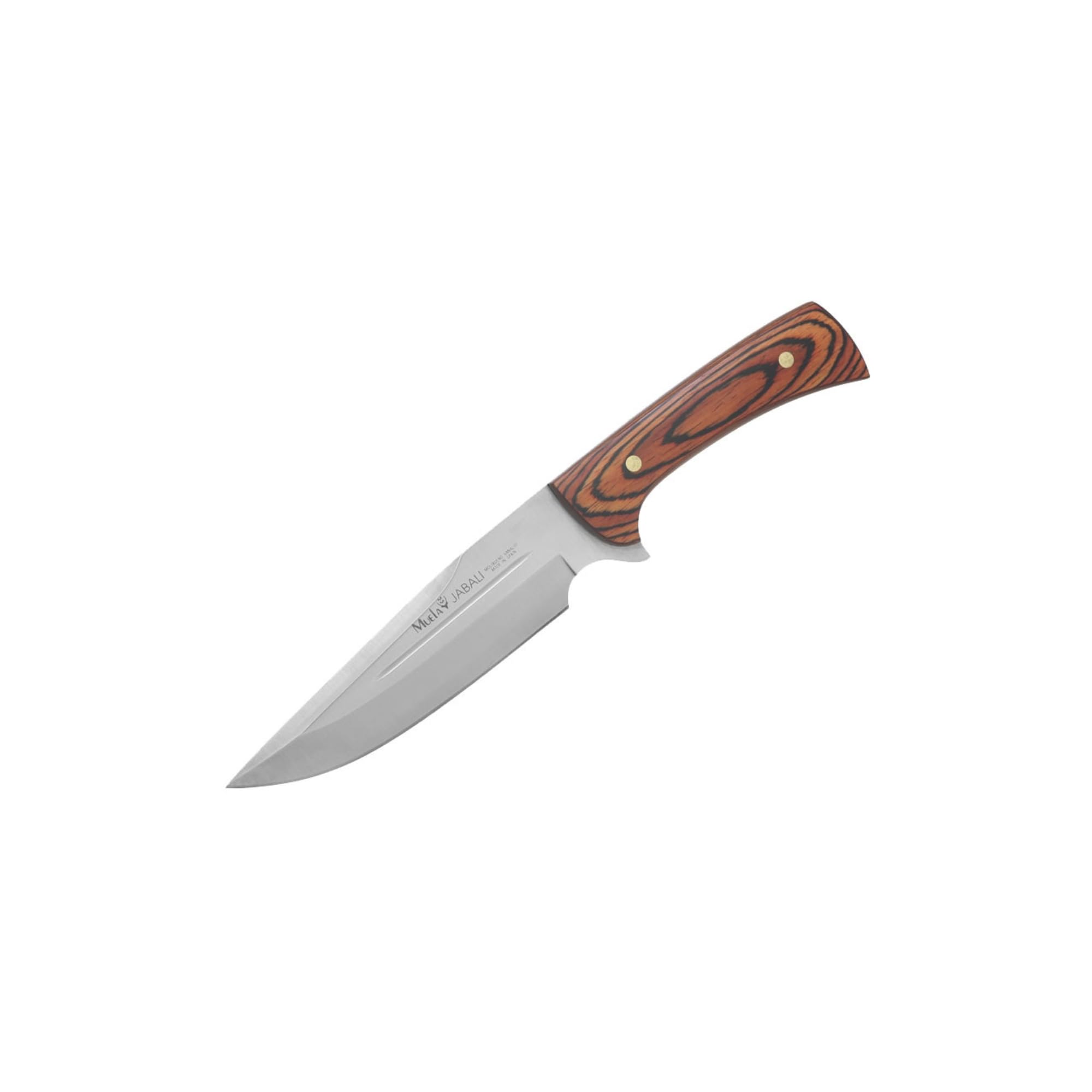 Muela JABALI-17 E Cuchillo Caza. Hoja fija 17cm. Acero MoVa y Mango de Madera Coral. Fabricado en España | Ideal para Caza, Montería, Rececho, Pesca,Supervivencia, Outdoor y Bushcraft | LO TRINCO YO