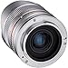 Rokinon RK8MS-E 8mm F2.8 Series 2 Fisheye Lens for Sony E Cameras, Silver