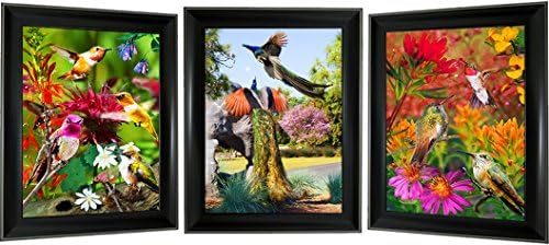 3 Images in 1 Frame 3D Picture Poster Artwork Wall Decor Holographic Pics Optical Illusion Animated Image (with Black Frame), Décor for Home & Office (Hummingbird & Peacock)