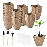 🍀【Contenido del paquete】El paquete incluye 80 macetas de turba cuadradas con el tamaño de 8 x 8 x 8 cm, 3 herramientas de trasplante y 100 etiquetas de plantas, para su uso diario en jardinería, y puede combinar nuestras macetas de turba y etiquetas de plantas para Ayudarle a marcar sus plantas. Si tiene alguna pregunta, por favor contáctenos. Le daremos una respuesta satisfactoria.