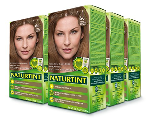 Naturtint Permanent Hair Color 6G Dark Golden Blonde (Pack of 6), Ammonia Free, Vegan, Cruelty Free, up to 100% Gray Coverage, Long Lasting Results