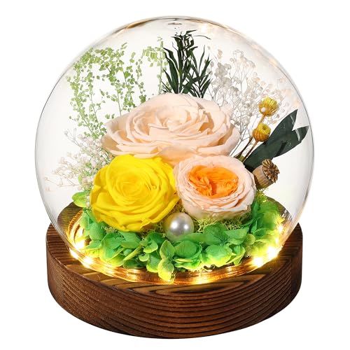 Eaprala Gifts for Her Preserved Flower Rose in Glass Dome Gifts for Women Mom Wife on Birthday Chrismas,Home Decoration.Champagne Gold