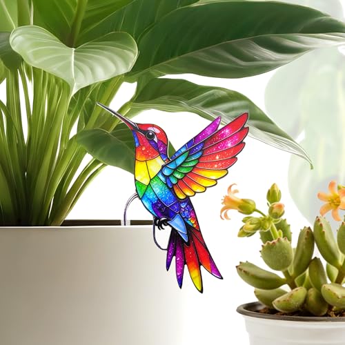 SOMNINOX Hummingbird Gifts for Women Mom Grandma - Humming Bird Plant Lover Mothers Day Birthday...