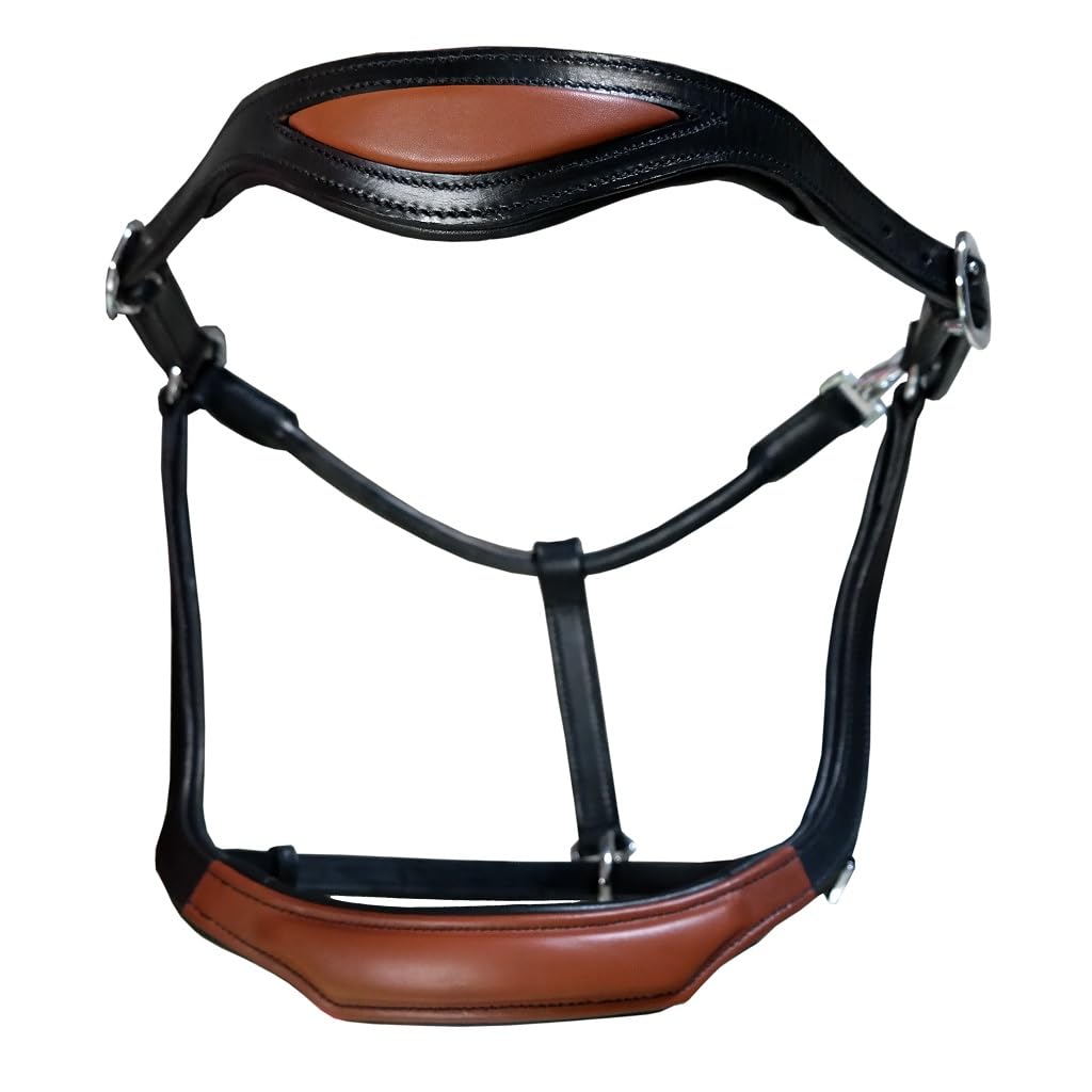 Brama West Pferderhalfter Leder Halfter Atlanta anatomisch 2-Fach verstellbar, Gr. Full