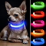 BSEEN LED Dog Collar, USB Rechargeable Glowing Safety Pet Collar, Nylon Adjustable Light Up Collars for Small Dogs& Cats (XS:0.68.5-11.8 inches, Blue)