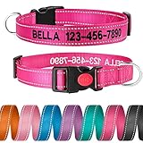 Personalized Dog Collar - Reflective Custom Embroidered with Pet Name and Phone Number for Boy and Girl Dogs, 4 Adjustable Sizes, XSmall,Small, Medium and Large