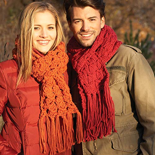 Image of Bernat Softee Chunky Yarn, 3.5 Oz, Gauge 6 Super Bulky, Pumpkin (Pack of 4)