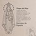 Imagen de cotigo- Collar de virgen acero inoxidable