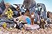 Roblox Action Collection - Legends of Roblox Six Figure Pack [Includes Exclusive Virtual Item]