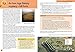The Stone Age to the Iron Age Pupil Book (Collins Primary History)