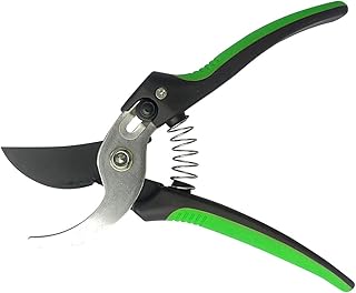 Sponsored Ad - ECOgardener 8” Pruning Shears for Plants, Shrubs and Bushes. Heavy Duty Handheld Pruner Gardening Tool Best...